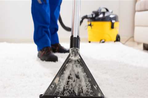 Charleston Carpet Cleaning: How To Keep Your Home Fresh And Clean Without Breaking The Bank