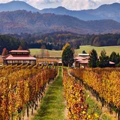 The Best Time to Indulge in the Wines of Stafford County, VA