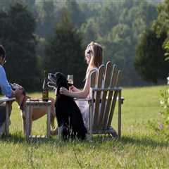 Exploring Pet-Friendly Wineries in Stafford County, VA