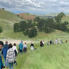 Discovering the Vibrant Organizations in Contra Costa County, CA