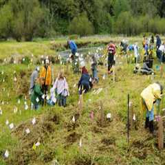 The Challenges of Community Projects in Clark County, WA