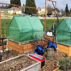 Community Projects in Clark County, WA: Promoting Sustainable Agriculture