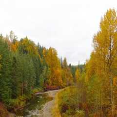 The Vibrant Community of Snohomish County, WA