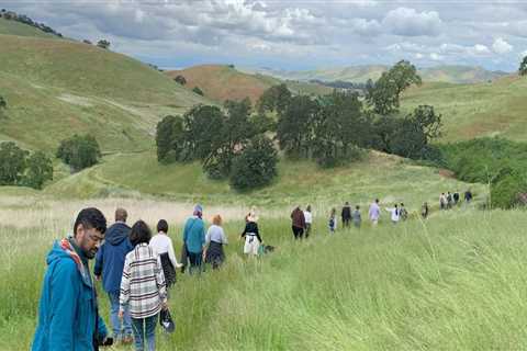 Discovering the Vibrant Organizations in Contra Costa County, CA