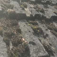 Roof Cleaning in  Prestonpans Professional Roof Cleaners Call Today For A Free Quote  Residential..