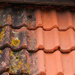 Roof Cleaning in  Seafield Residential & Commercial Call Today For A Free Quote Professional Roof..