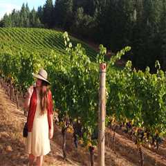 The Rise of Organic Wineries in Clark County, Washington