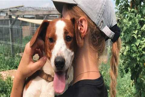 The Impact of Volunteering with Animals in Southern California
