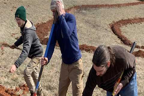 The Power of Volunteers in Community Projects in Southeast South Carolina