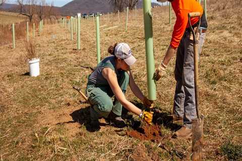 The Impact of Agriculture on Natural Resources in Northern Virginia: An Expert's Perspective