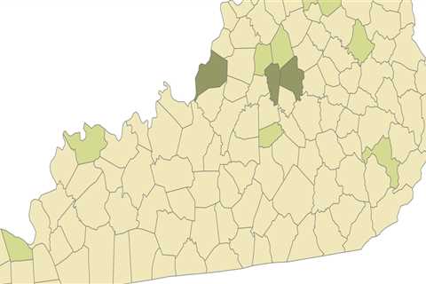 The Importance of Mental Health Services in Clark County, Kentucky
