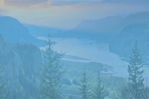 The Power of Associations in Driving Economic Development in Lane County, Oregon