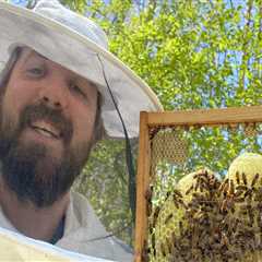 The Ultimate Guide to Obtaining a Beekeeping Permit in McDowell County, North Carolina
