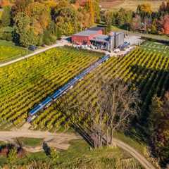 The Ultimate Guide to Wine Tasting in Chautauqua County, New York