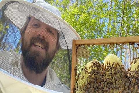 The Ultimate Guide to Obtaining a Beekeeping Permit in McDowell County, North Carolina