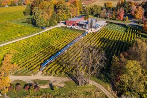 The Ultimate Guide to Wine Tasting in Chautauqua County, New York