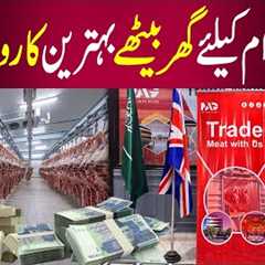 Where to Invest in Pakistan in 2025 | Halal Business Ideas & Trends | Mag Ventures