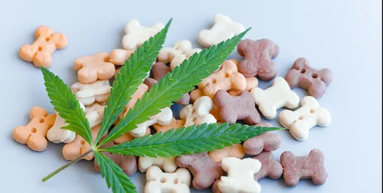 Today in Needlessly Cruel and Silly News: Alabama Hemp Law Soon to End Availability of Popular CBD..