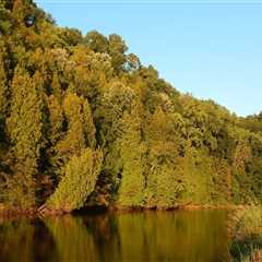Uncovering the Fascinating History of Kent County, Michigan