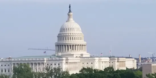 Healthcare Preview for the Week of: July 14, 2025 [Podcast]