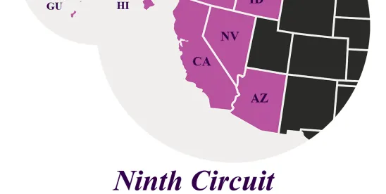 Ninth Circuit Upholds Converse’s Win in CIPA Chat Case: What the Gutierrez v. Converse Decision..