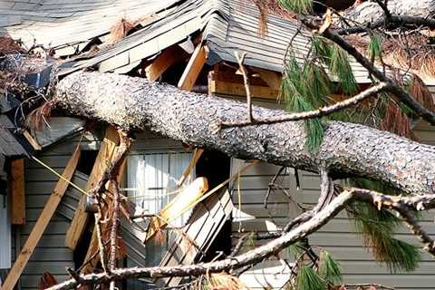 Storm Damage Repair Mesa AZ | Flood & Wind Restoration