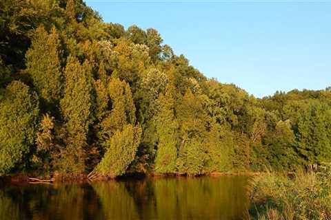 Discovering the Hidden Gems of Kent County, Michigan