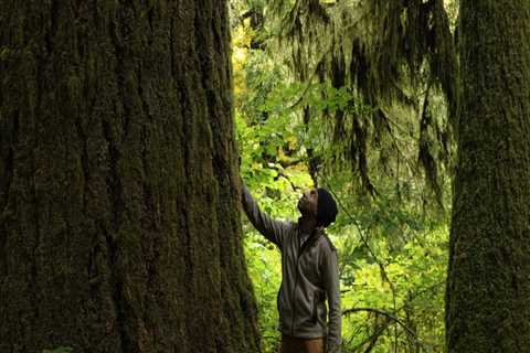 Promoting Diversity and Inclusion in Western Oregon