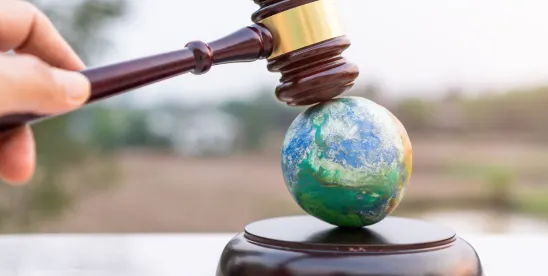 District Court Rejects First Amendment Challenge to California Climate Disclosure Requirements