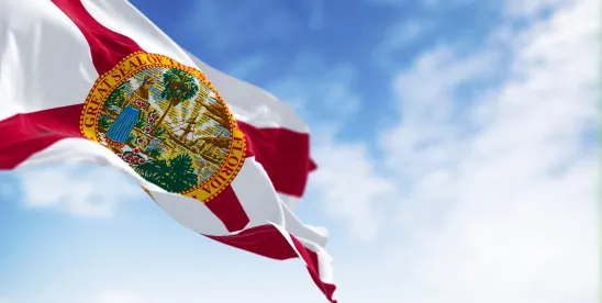 Breaking Up Is Hard to Do: Florida’s New Non-Compete Law Shakes Up the Sunshine State