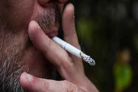 The Impact of Smoking Campaigns on Smoking Rates in Leon County, Florida: An Expert's Perspective