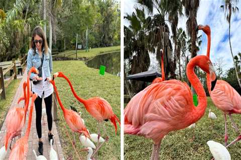 Empowering Youth: Exploring Community Service Opportunities in Sarasota County, Florida