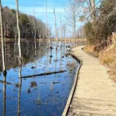 Maximizing Savings and Enjoyment at Boatyards in Calvert County, MD