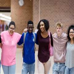 The Impact of Community Programs on Mental Health and Wellness in Fairfax County, VA