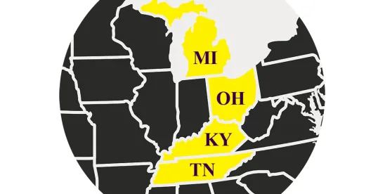Ten Years of En Banc Decisions in the Sixth Circuit