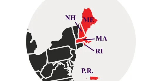 Federal District Court Draws Clearer Line on Evidence Needed for Actual and Nominal Damages in..