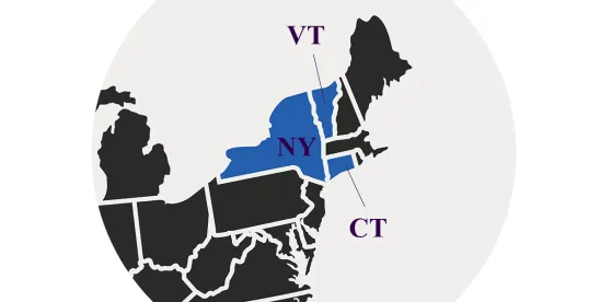 Appellate Court Gives Go-Ahead for 340B Contract Pharmacy Insulin Pricing Suit to Proceed