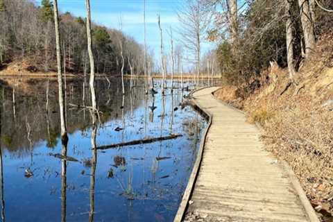 Maximizing Savings and Enjoyment at Boatyards in Calvert County, MD