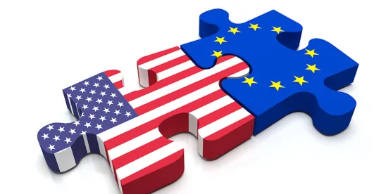 EU-U.S. Data Transfer Pact Upheld; Possible Appeal Awaits
