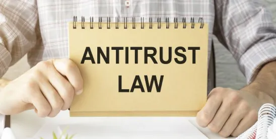 AI Antitrust Landscape 2025: Federal Policy, Algorithm Cases, and Regulatory Scrutiny