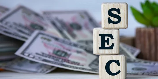 Ninth Circuit Clarifies SEC Disgorgement Standard, Aligning with the First and Fifth Circuits and..