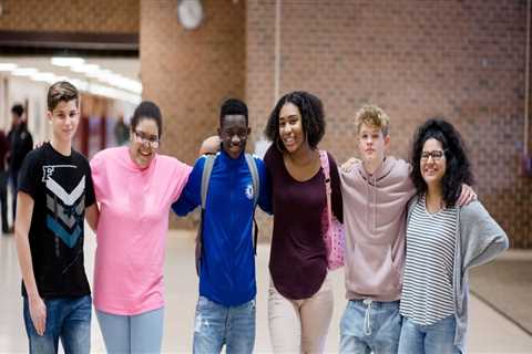 The Impact of Community Programs on Mental Health and Wellness in Fairfax County, VA