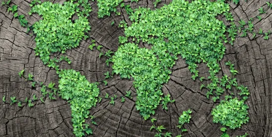 Cultural Capital: Ninth Circuit Clarifies Extent of Natural Resource Damages Under CERCLA