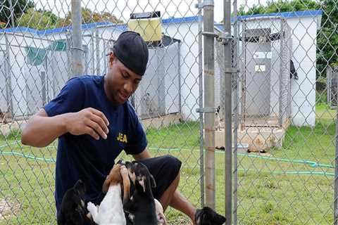 The Challenges and Solutions for Animal Welfare in East Tennessee