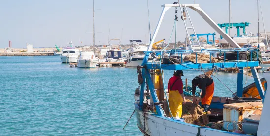 First-Ever Fisheries Subsidies Agreement Enters Into Force at the World Trade Organization