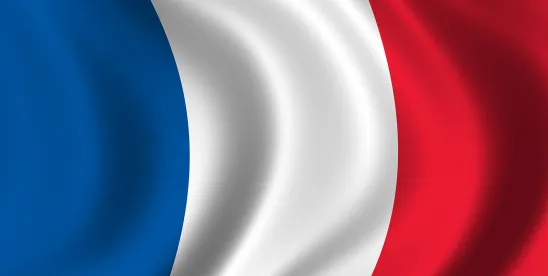 Navigating the Latest Developments in Anti-corruption and White-Collar Crime in France