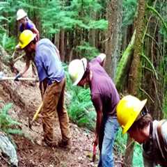 The Power of Volunteers in Decision-Making for Voluntary Organizations in Washington County, Oregon