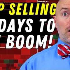 5 Stocks I’m Buying in the AI Stock Market Crash