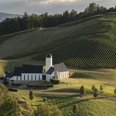 The Evolution of Wine Production in Central Virginia