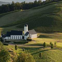 The Hidden Gems of Central Virginia's Wine Industry